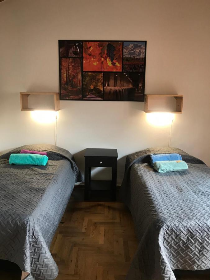 Mza Wine Apartment -Next To Aristides Street- First Class 门多萨 外观 照片
